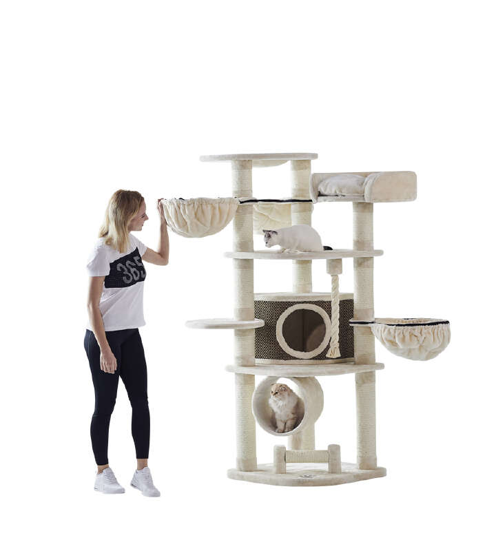 Nobby Kratzbaum Elif